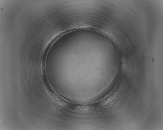 X0000076330351200610161714