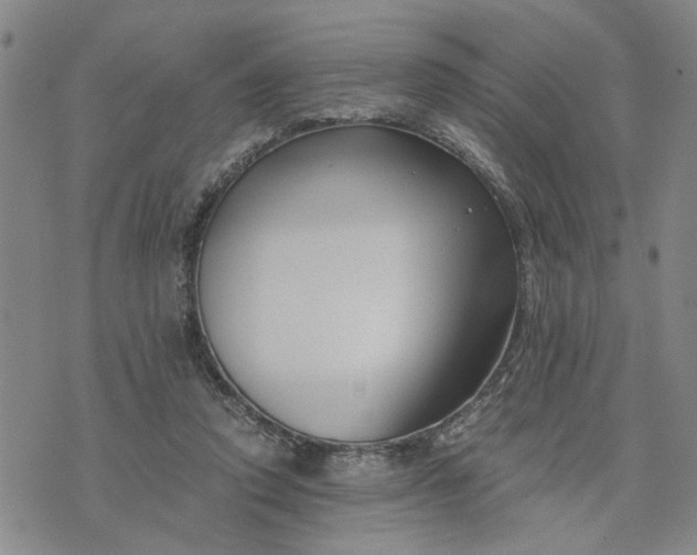 X0000076330354200610161714