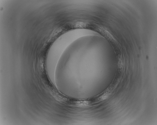 X0000076330363200610161714