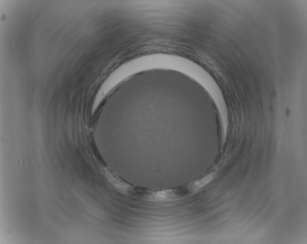 X0000076330382200610161715