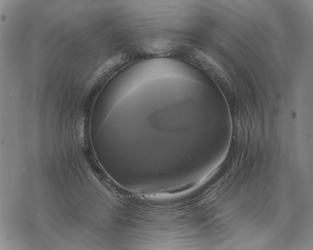 X0000076330404200610161714