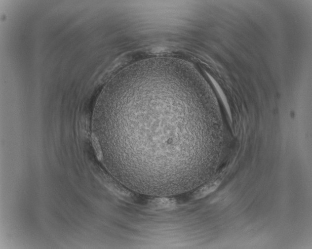 X0000076330421200610161713