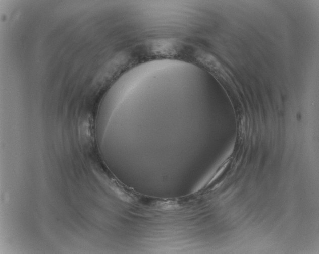 X0000076330424200610161713
