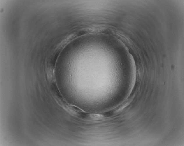 X0000076330429200610161713