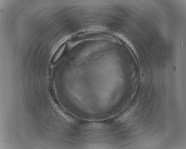 X0000076330437200610161713