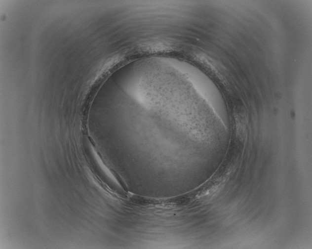 X0000076330447200610161713
