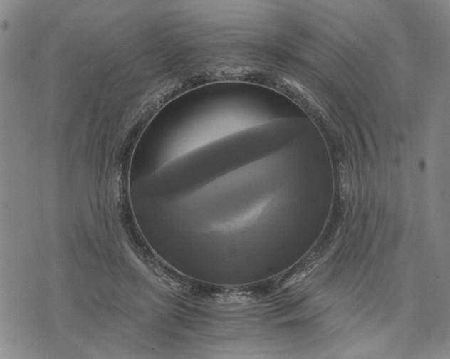 X0000076330451200610161713