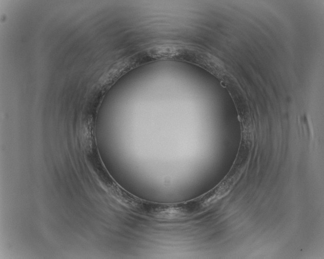 X0000076330460200610161713