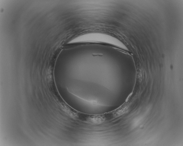 X0000076330466200610161713