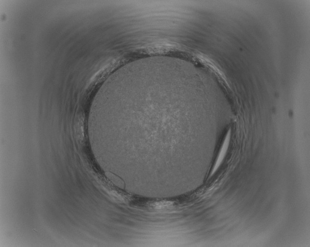 X0000076330501200610161712