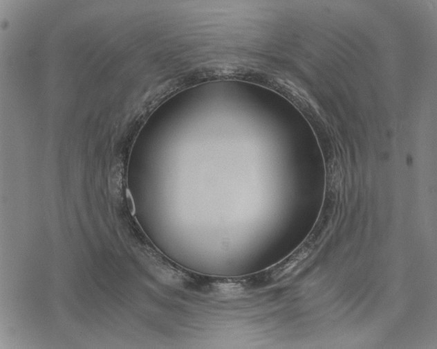 X0000076330509200610161712