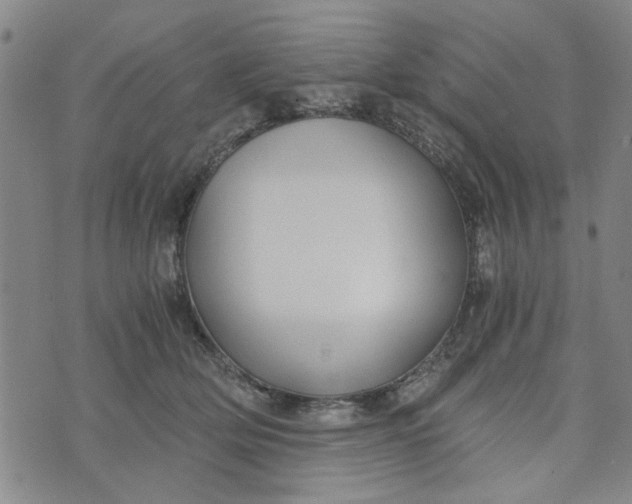 X0000076330514200610161712