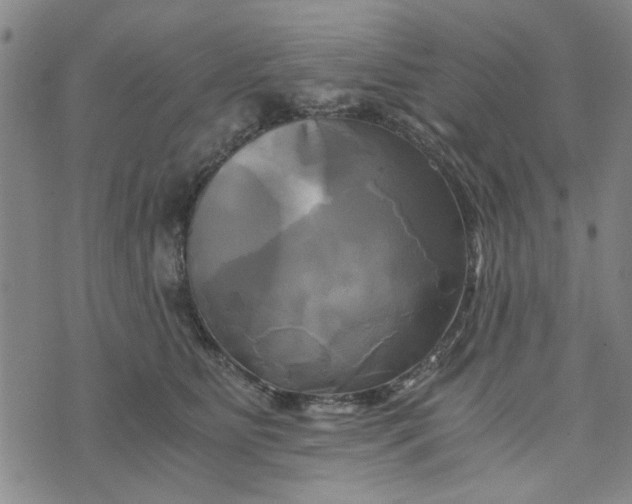 X0000076330515200610161712