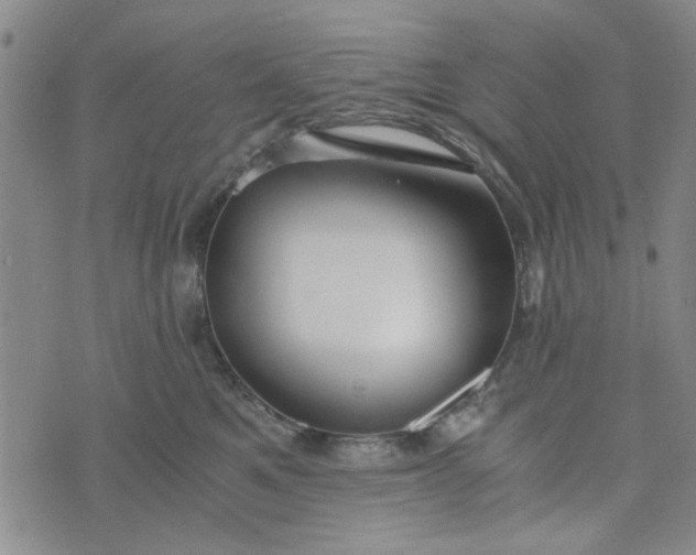 X0000076330521200610161712