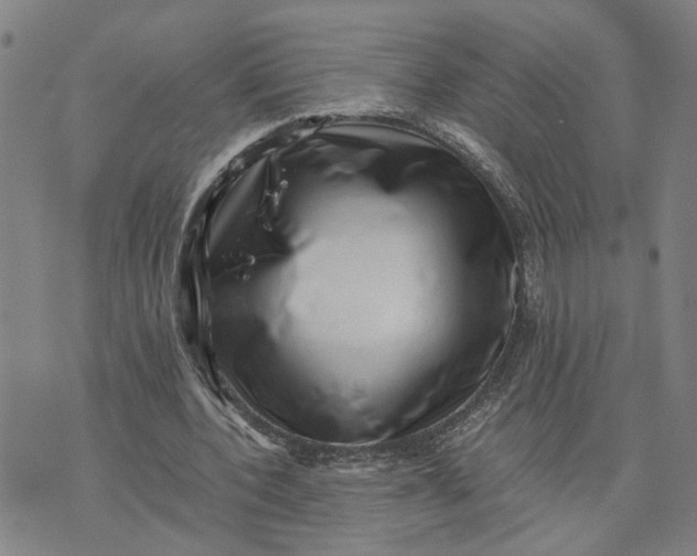 X0000076330532200610161711