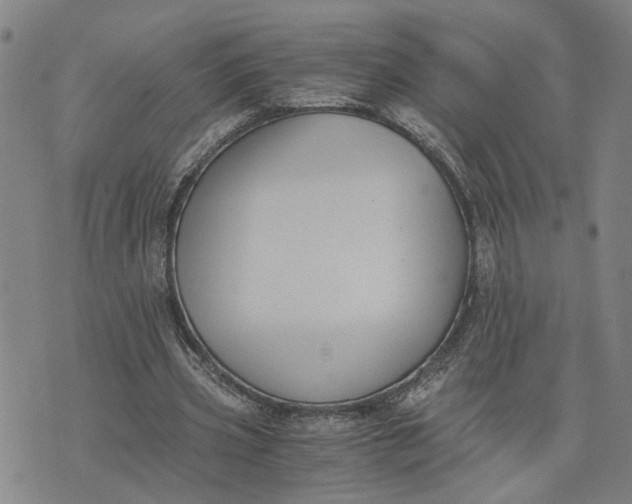 X0000076330533200610161711