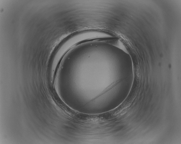 X0000076330540200610161711