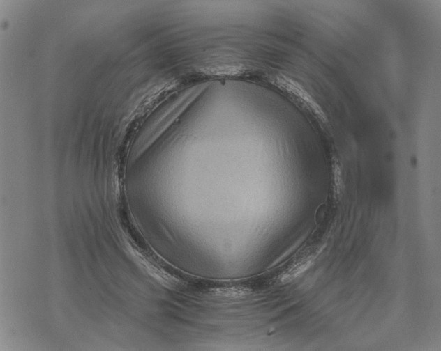 X0000076330541200610161711