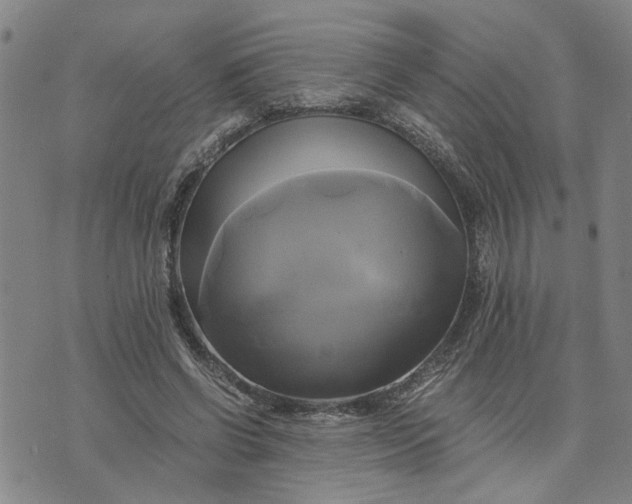 X0000076330542200610161711