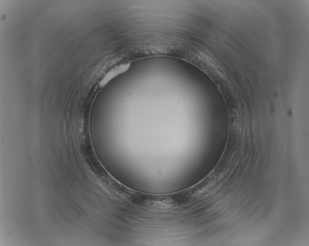 X0000076330548200610161711