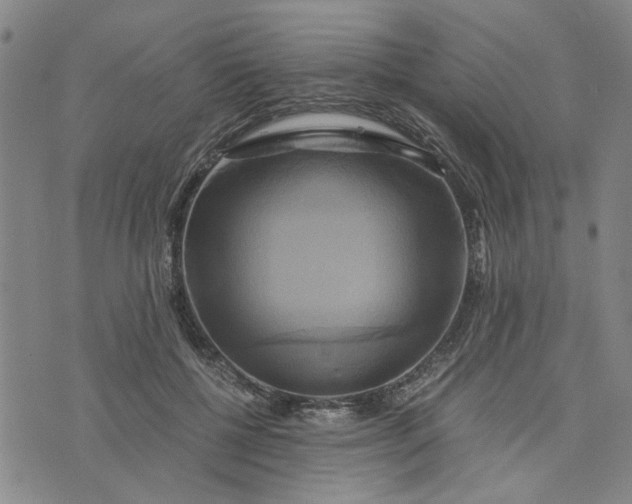 X0000076330552200610161711