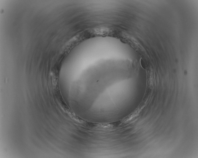 X0000076330569200610161712