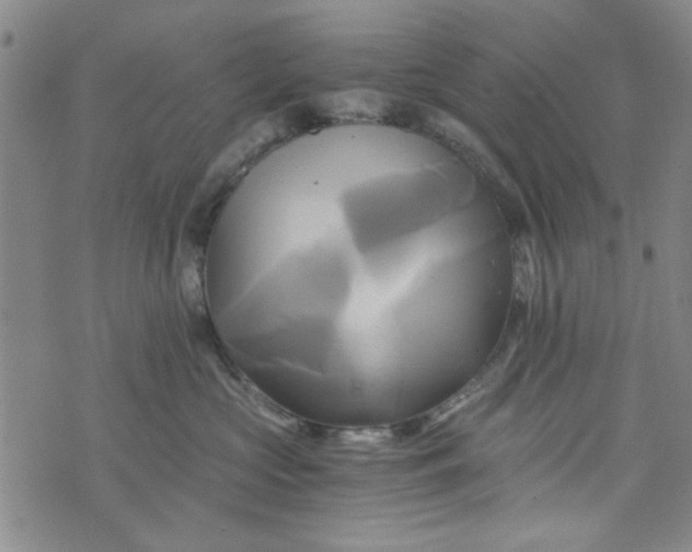 X0000076330573200610161712