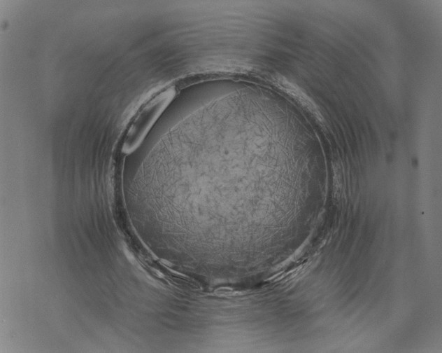 X0000076330580200610161711