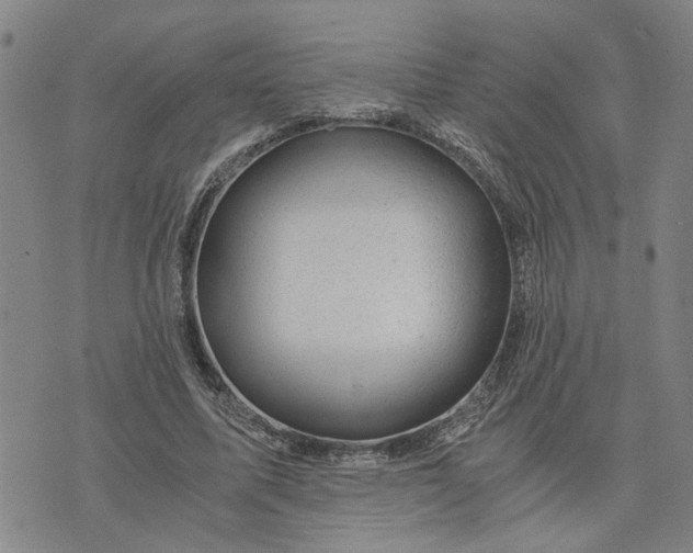 X0000076330587200610161711