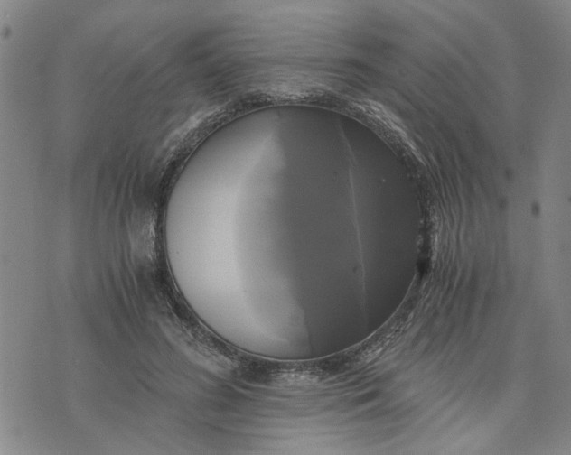 X0000076330596200610161711