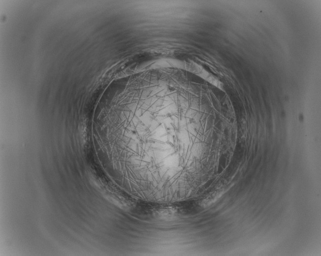 X0000076330600200610161710