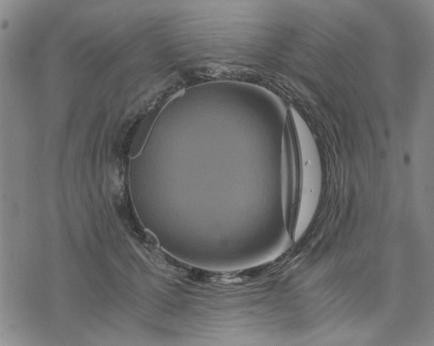 X0000076330607200610161710