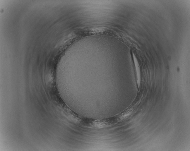 X0000076330608200610161710
