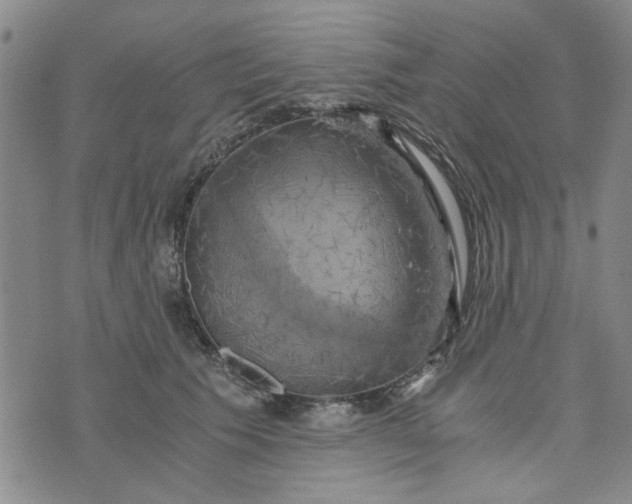 X0000076330609200610161710