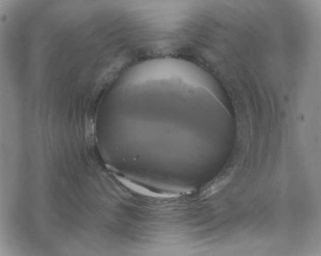 X0000076330624200610161710