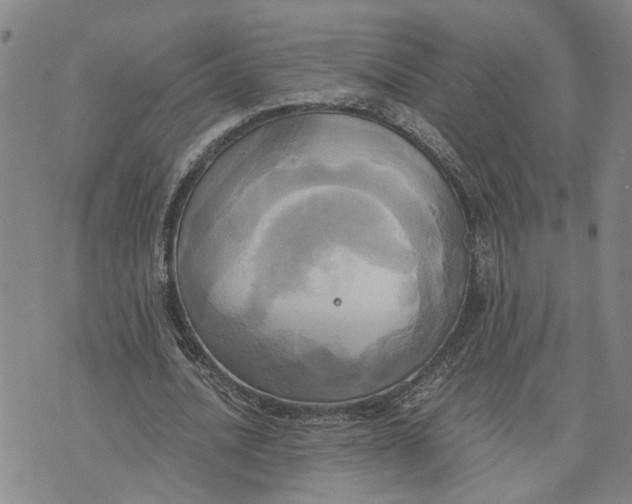 X0000076330628200610161709