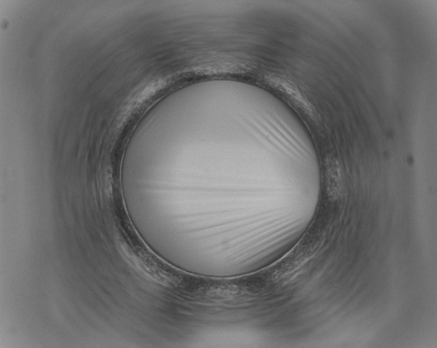 X0000076330631200610161709