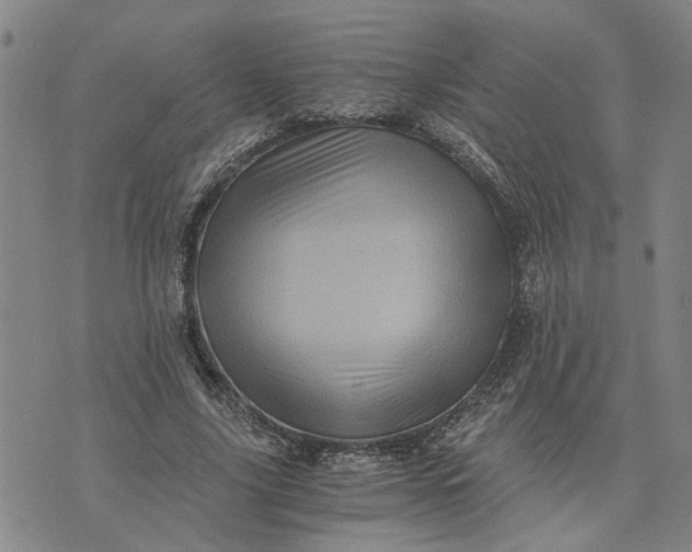 X0000076330635200610161709