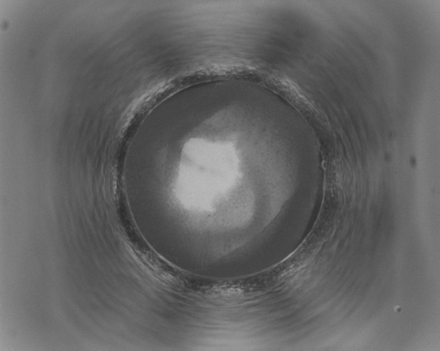 X0000076330640200610161710