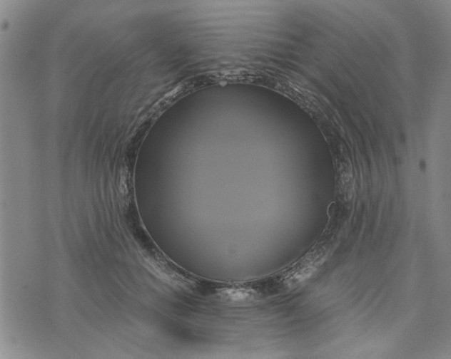 X0000076330654200610161710