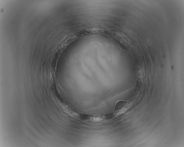 X0000076330662200610161710