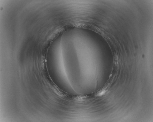 X0000076330664200610161710