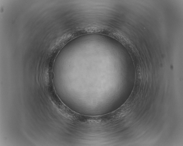 X0000076330690200610161709