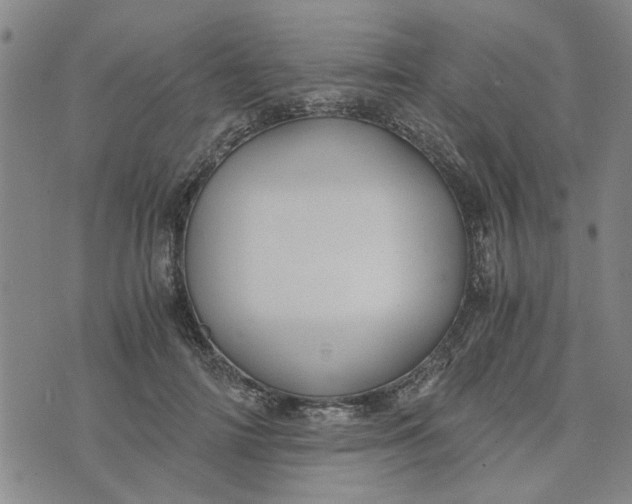 X0000076330698200610161709