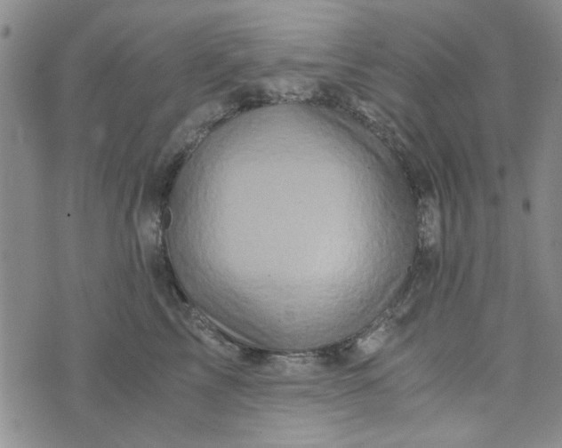 X0000076330713200610161709