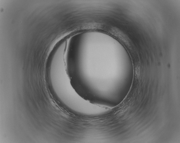X0000076330724200610161708
