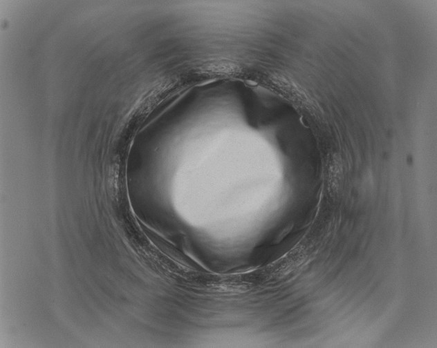 X0000076330739200610161708