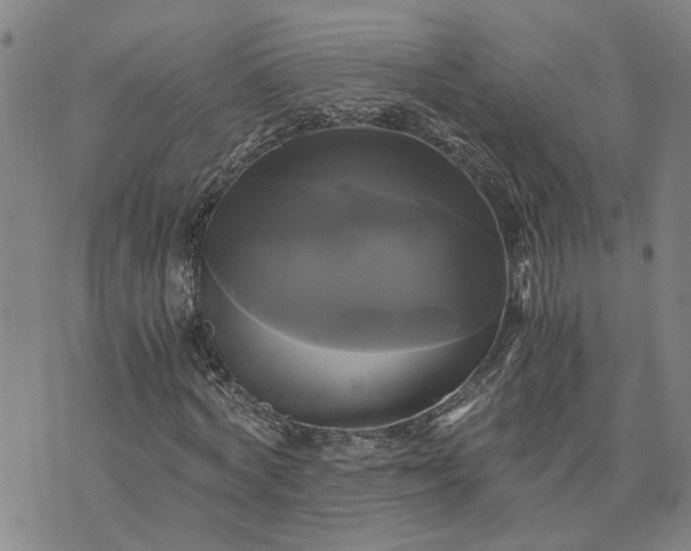 X0000076330772200610161708