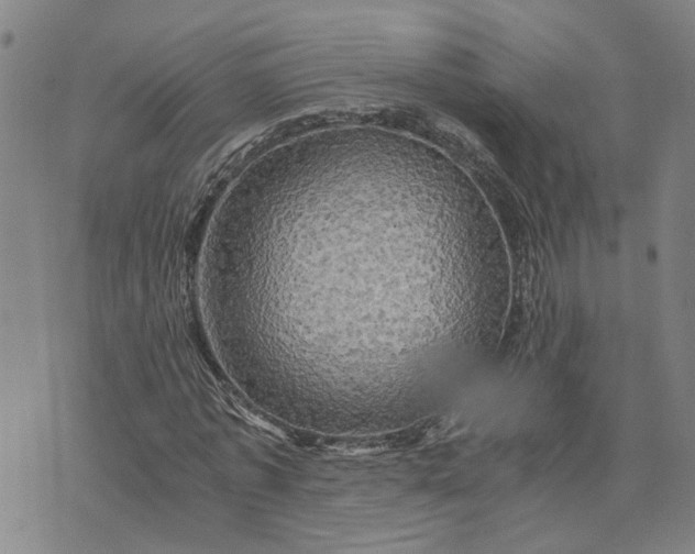 X0000076330773200610161708