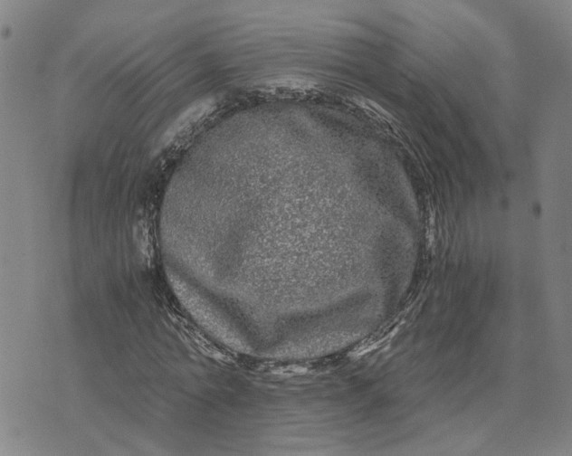 X0000076330774200610161708